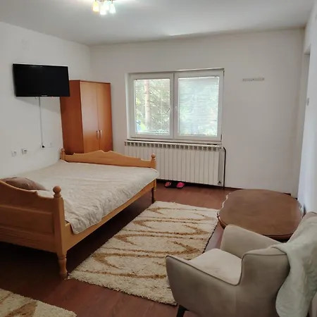 Pensiune Savinka Zlatibor