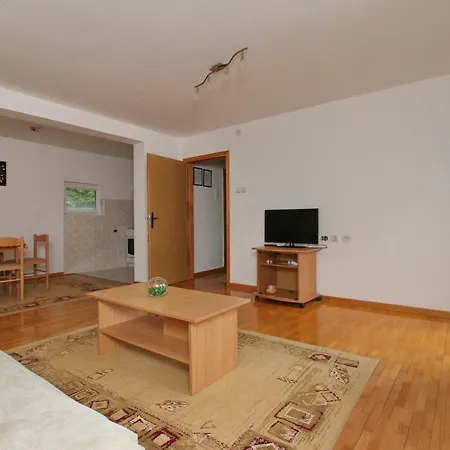 Guest house Savinka